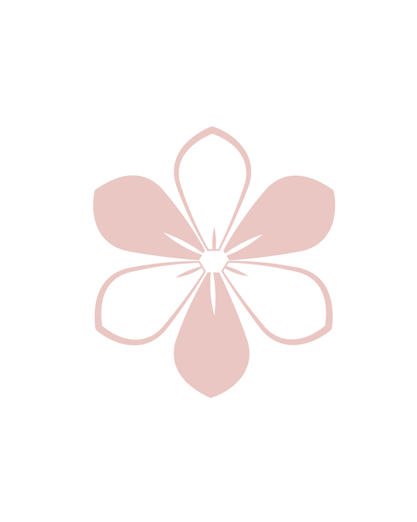 toqueboutique logo
