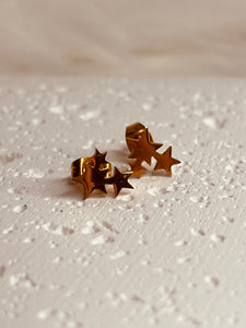 Star Moon Earrings