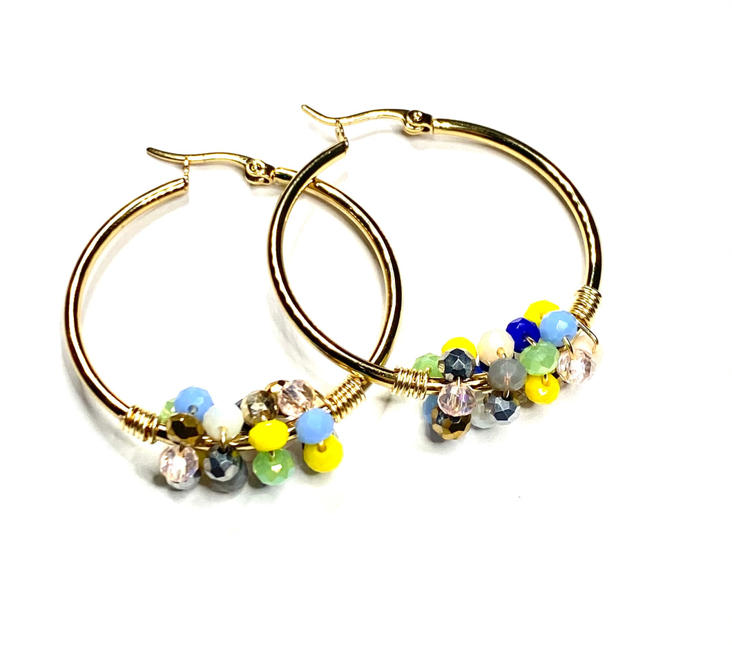 Earrings Hoops